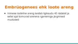 Loote arengu etapid #2