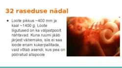 Loote arengu etapid #13