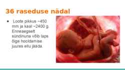 Loote arengu etapid #14