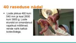 Loote arengu etapid #15