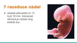 Loote arengu etapid #8