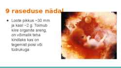 Loote arengu etapid #9