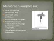Suruõhukompressorid #4