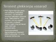 Vasar #5