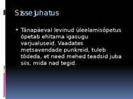 Kus elasid metsavennad #2