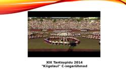 Noorte laulu- ja tantsupidu 2017-ja-üldlaulupidu 2019 #11
