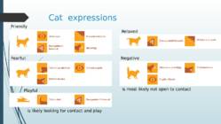 Cats #4