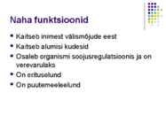 Kosmeetikakaubad #4