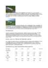 LOGISTIKU ABC #4