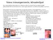 Võistluse ajal keelatud glükokortikoidid #3
