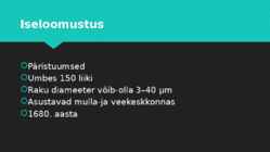 Pärmseened #2