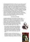 Absolutism #4