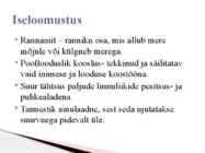 Rannaniit #2