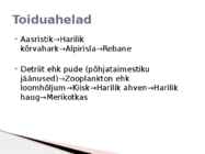 Rannaniit #12