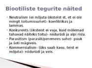 Rannaniit #13