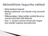 Rannaniit #14