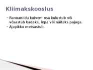 Rannaniit #16