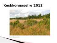 Rannaniit #17