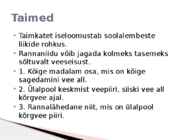 Rannaniit #3