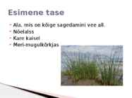 Rannaniit #4