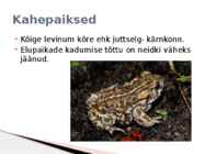 Rannaniit #8