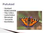 Rannaniit #9