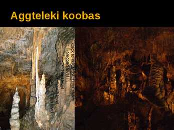 Ungari Referaat #11