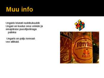 Ungari Referaat #7