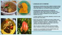 Jamaica Presentation #8