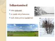 Mets Juhan Liivi luules õige #8