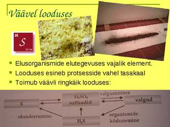 Väävel 412 #10