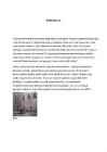 Linnus #7