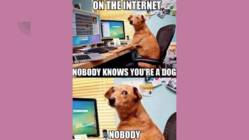 Interneti turvalisus #8