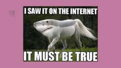 Interneti turvalisus #10