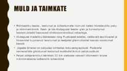 Alutaguse madalik #6