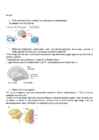 Neuropsühholoogia #15