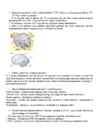 Neuropsühholoogia #16