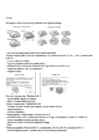 Neuropsühholoogia #21