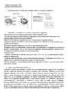 Neuropsühholoogia #22