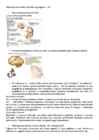 Neuropsühholoogia #9