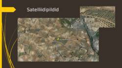 Oliivisalud Hispaanias #2