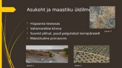 Oliivisalud Hispaanias #3