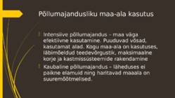 Oliivisalud Hispaanias #5