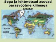 Sega- ja lehtmetsad #3