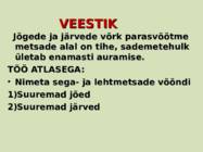 Sega- ja lehtmetsad #7