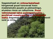 Sega- ja lehtmetsad #8