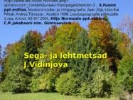 Sega- ja lehtmetsad