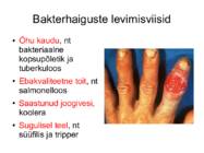 Bakterite levik ja paljunemine #9