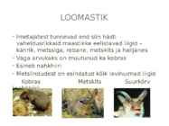 Haanja looduspark #5