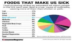 A short overview of veganism #8